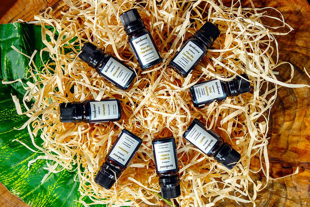 Vetiver: O Aroma da Terra para Enraizar e Reduzir a Agitação Mental - inspiração 2