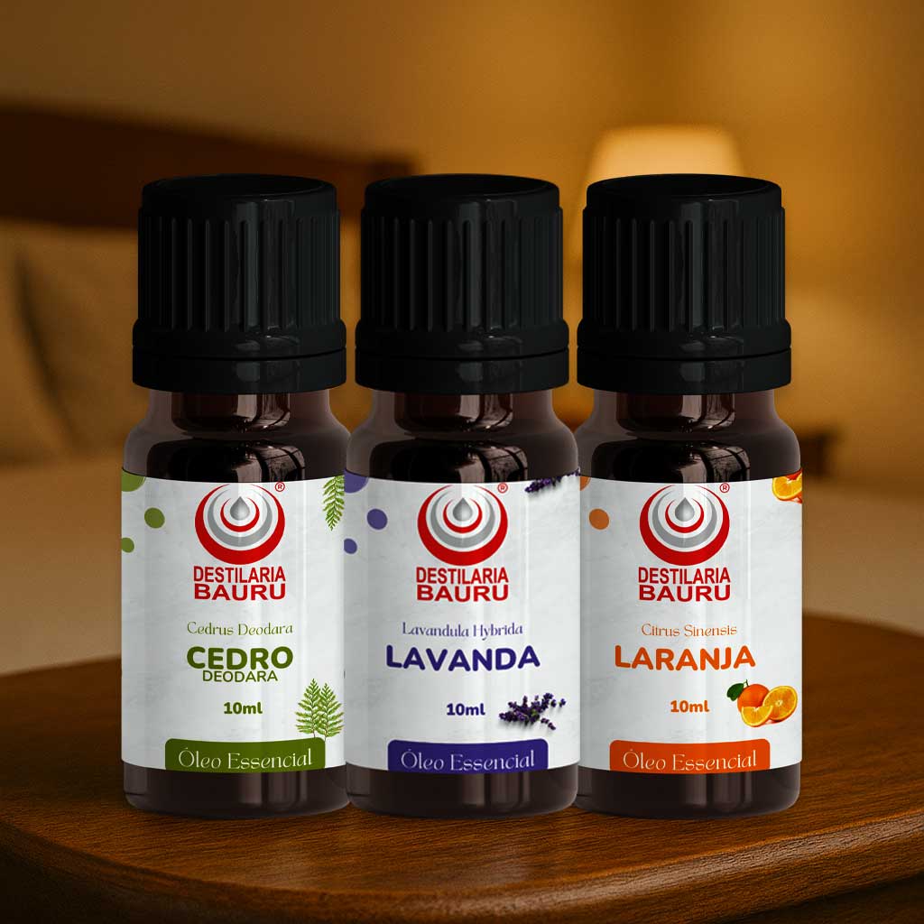 Laranja Doce: Alegria que Acalma - inspiração 2