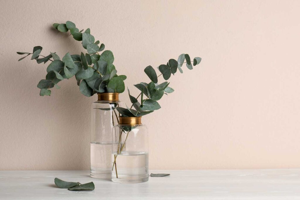 alternativas naturais a desodorizadores de ambiente