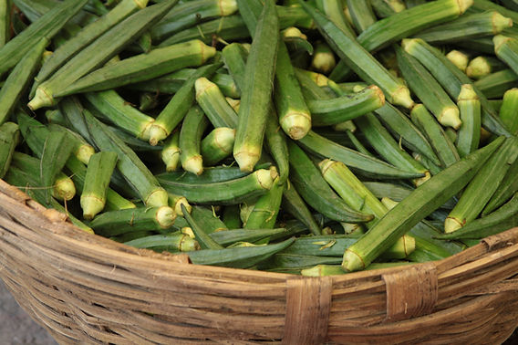 A Jornada do Quiabo do Egito ao Brasil