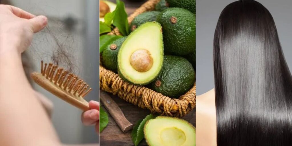 benefícios da semente de abacate para o cabelo