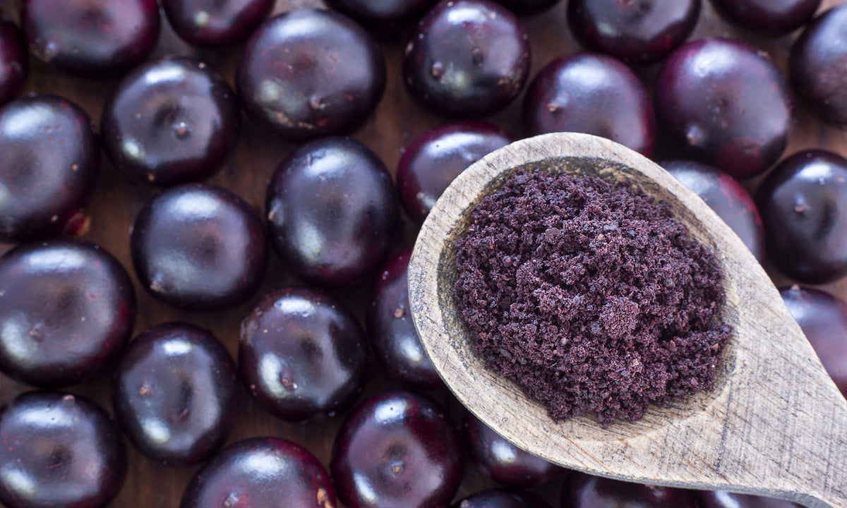 açaí e controle de colesterol