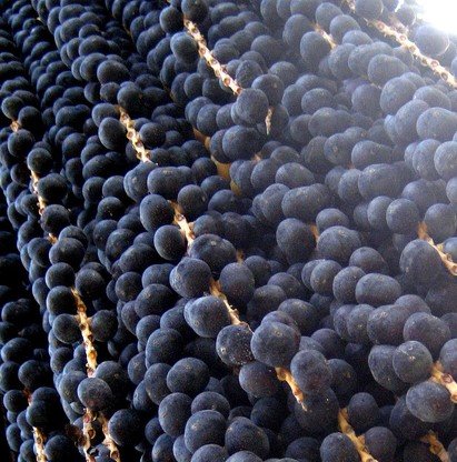 benefícios do açaí para a saúde