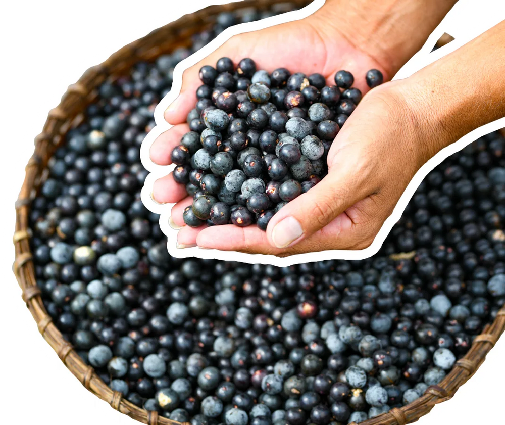 propriedades nutricionais do açaí