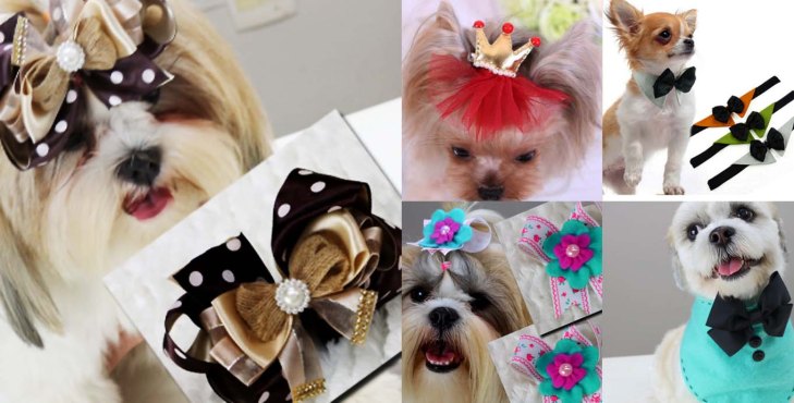 acessórios pet artesanais