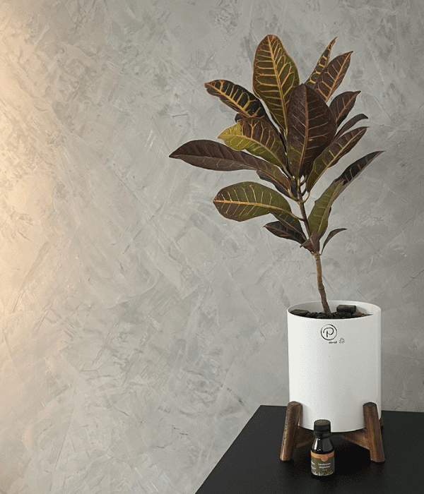 dosagem correta npk 10 10 10 para plantas