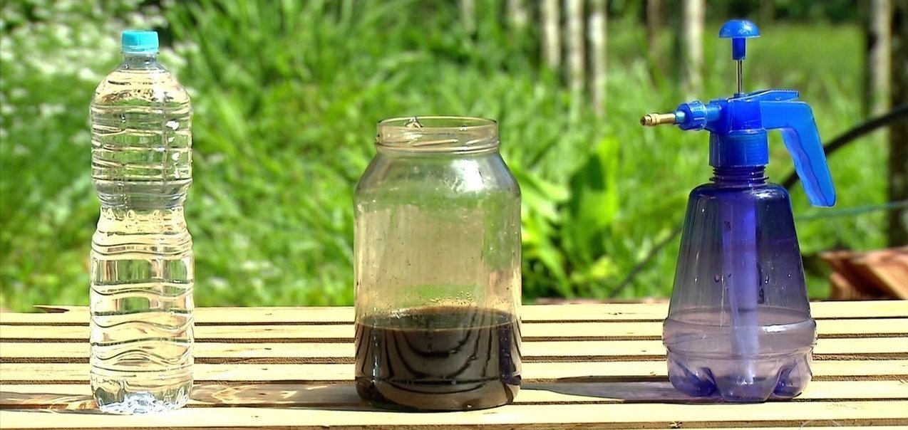 dosagem correta npk 10 10 10 para plantas