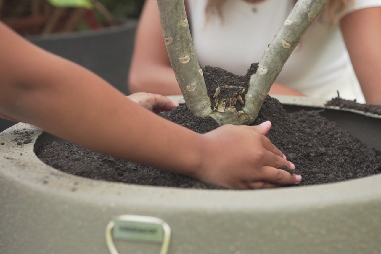 adubo orgânico com casca de ovo e banana