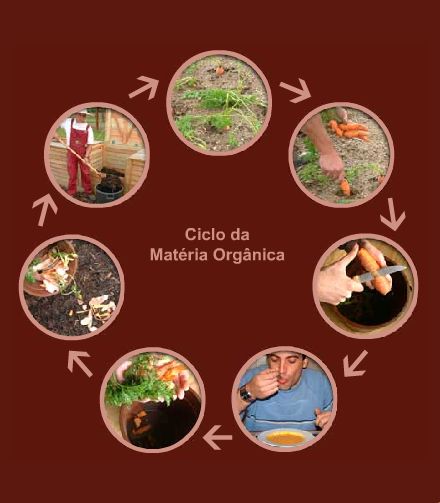 benefícios da cinza de madeira para plantas