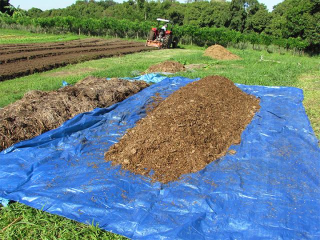 adubo rico em potássio caseiro