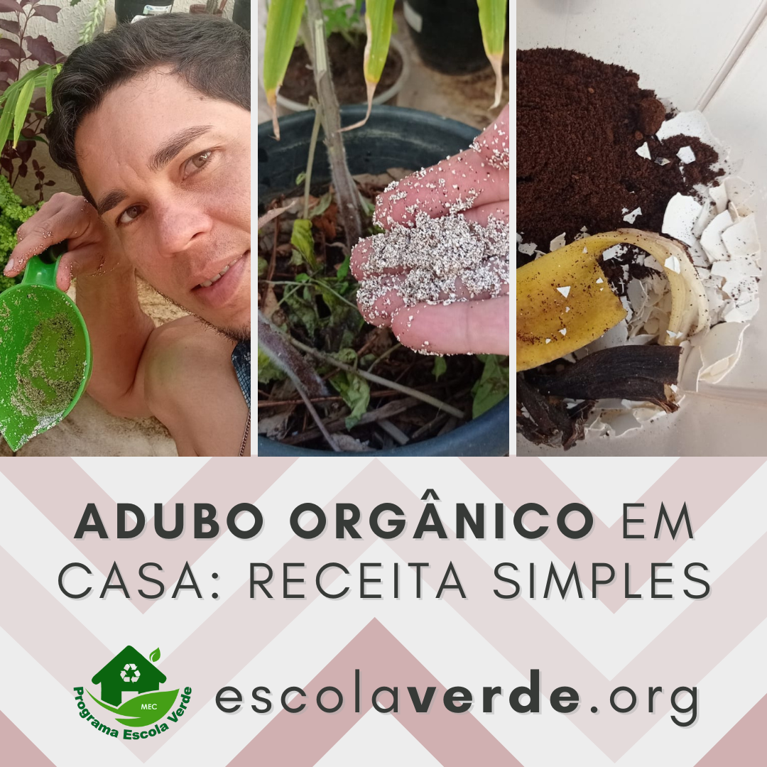 como fazer adubo caseiro com borra de café