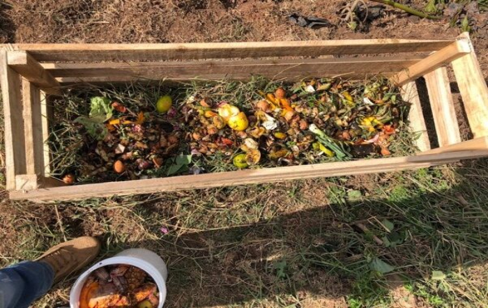 compostagem doméstica para iniciantes