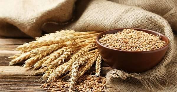 alergia ao trigo em crianças