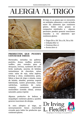 substitutos seguros para farinha de trigo