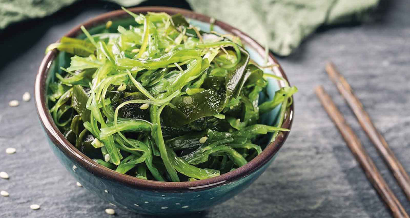 iodo em algas e função da tireoide