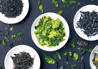 tipos de algas comestíveis e seus usos