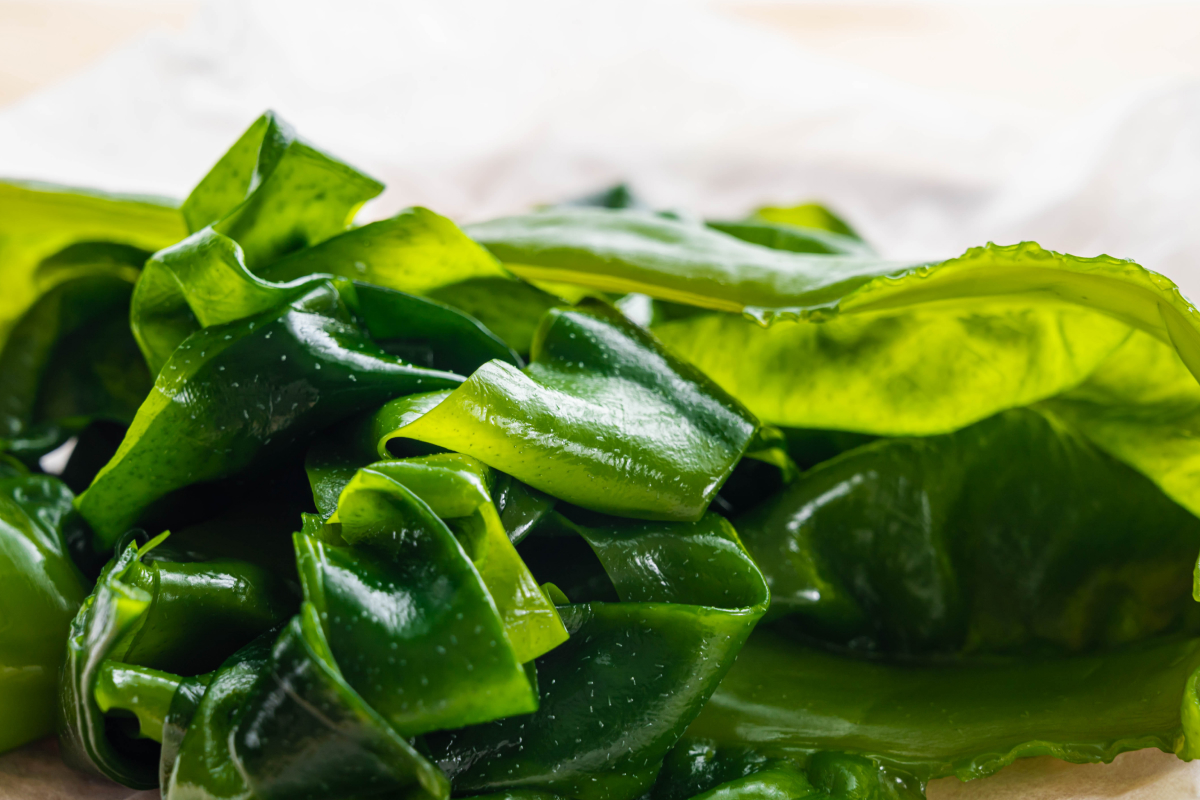 algas na alimentação