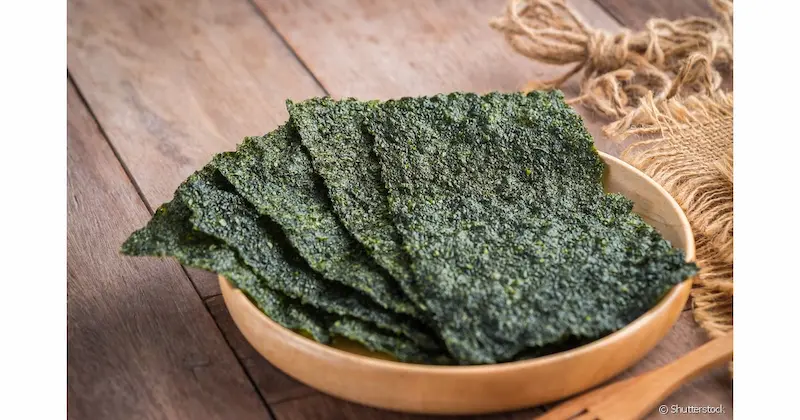 iodo em algas e função da tireoide