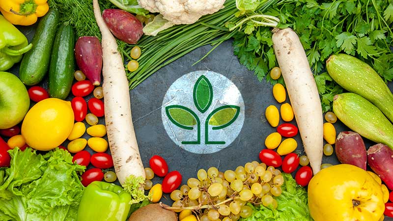 dicas de alimentação sustentável para o dia a dia