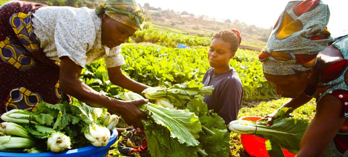 benefícios de consumir produtos locais e sazonais