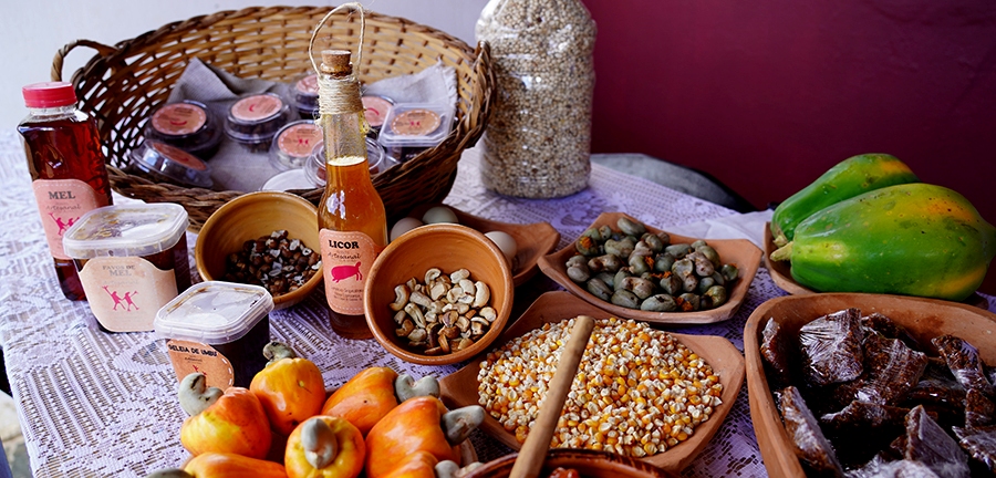 receitas sustentáveis com ingredientes da estação