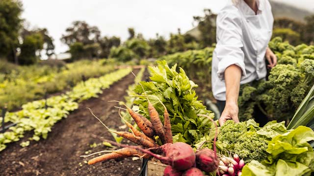 consumo consciente e alimentação saudável