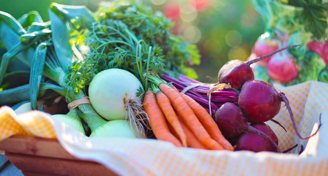 dicas de alimentação sustentável para o dia a dia