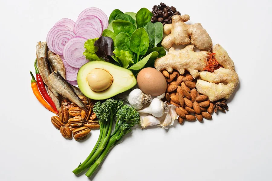 alimentação para o cérebro