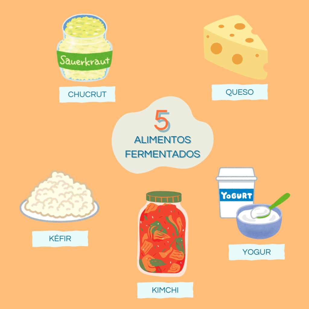 alimentos fermentados