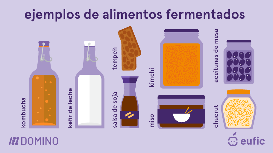 Receitas de Kombucha Caseira: Guia Completo para Iniciantes