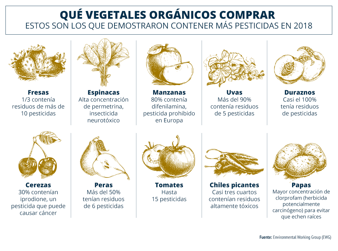 Mitos e Verdades sobre o Sabor e Nutrientes dos Orgânicos