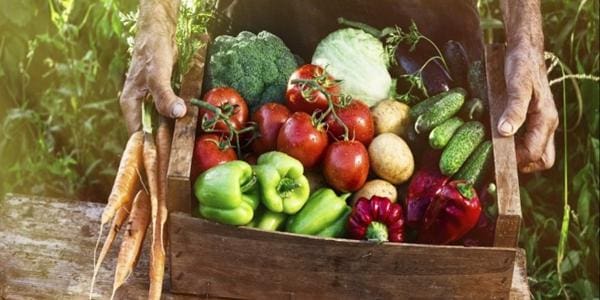 Receitas com Frutas de Março: Sabores da Estação