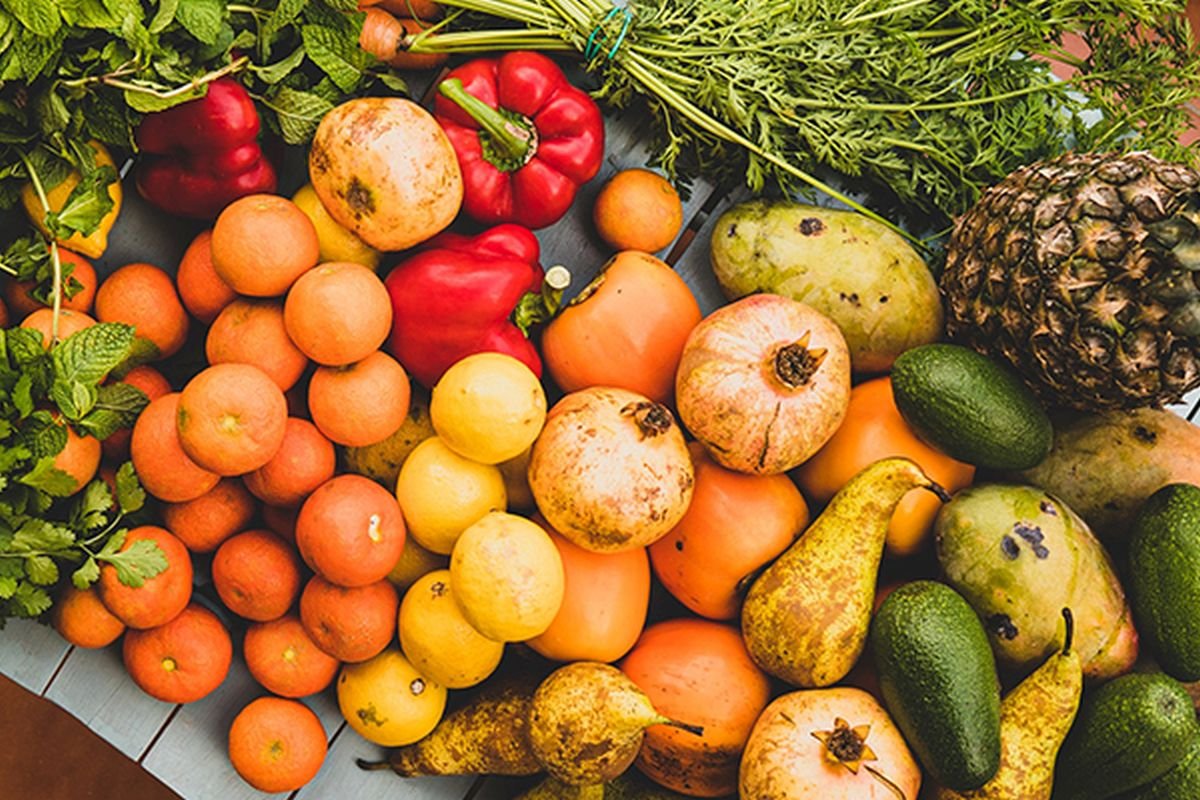 alimentos sustentáveis