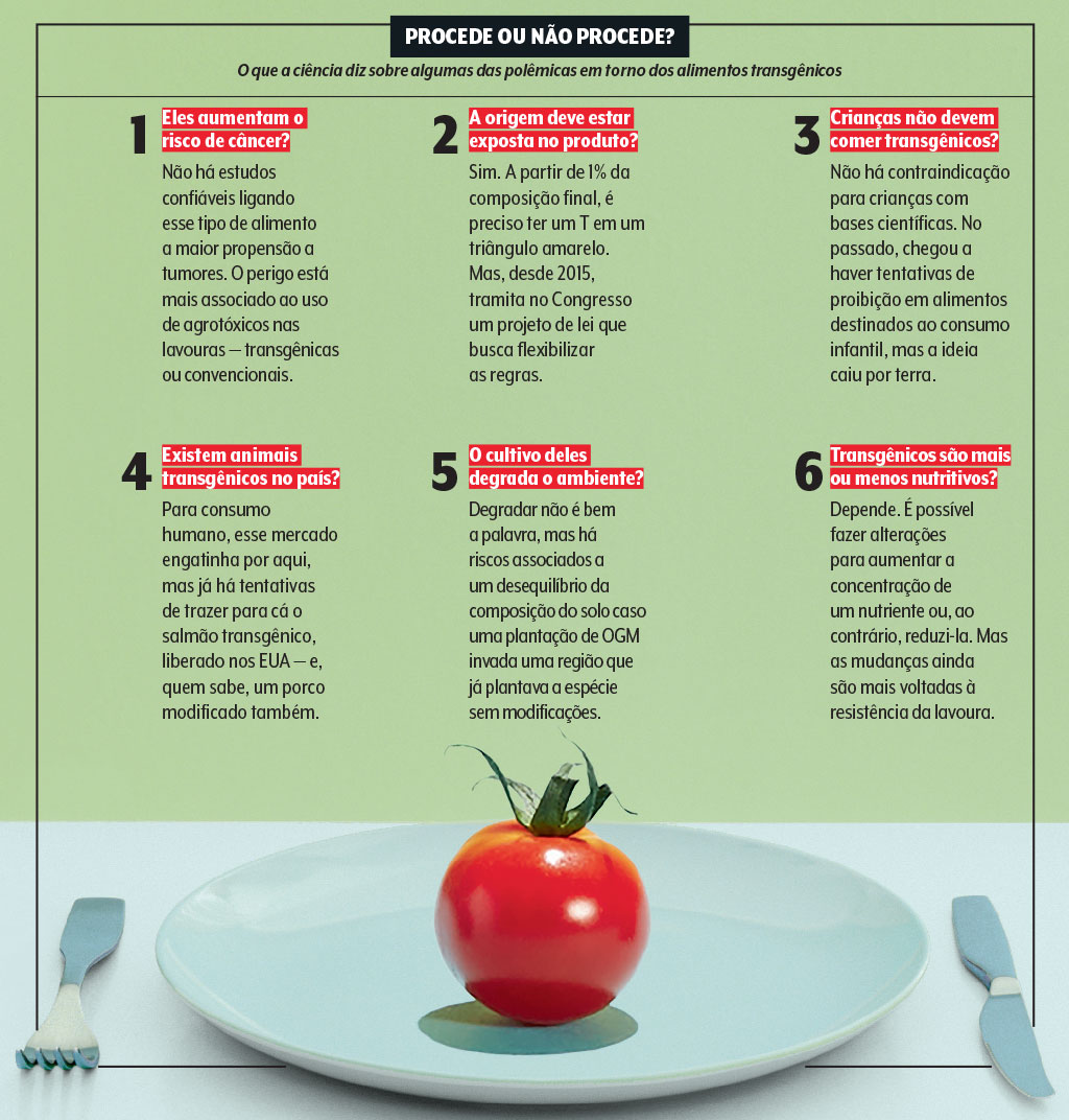alimentos transgênicos
