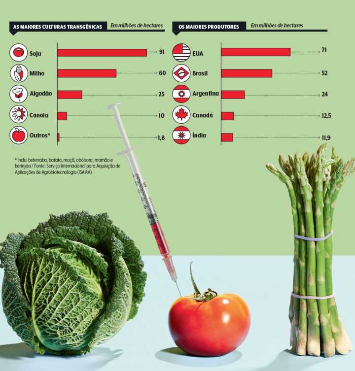 O que é engenharia genética e como ela cria alimentos transgênicos?