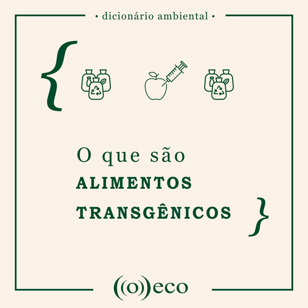 O impacto dos transgênicos na agricultura brasileira e na economia global