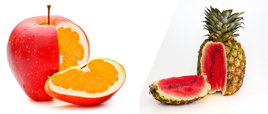 Mitos e verdades sobre os riscos dos alimentos transgênicos à saúde