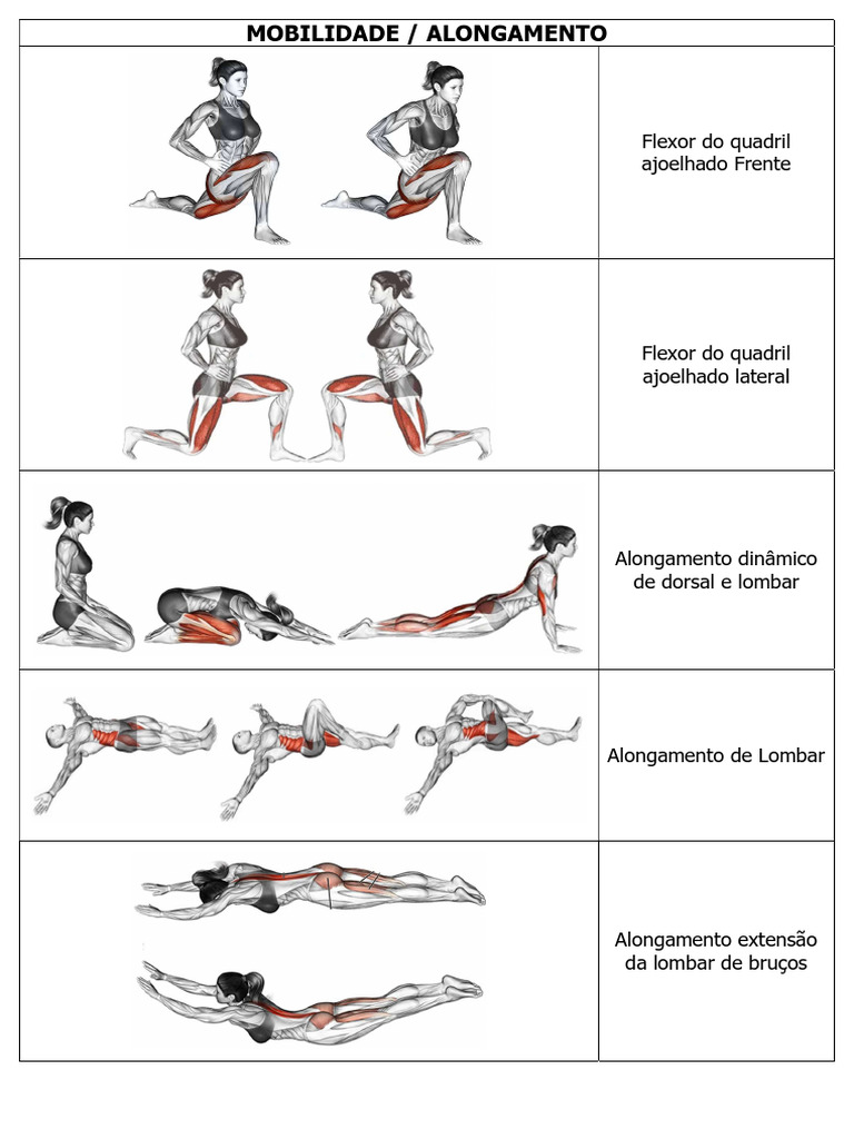 Os Benefícios Inesperados do Alongamento Dinâmico Diário