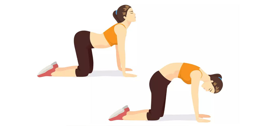 exercícios para aliviar dor no nervo ciático