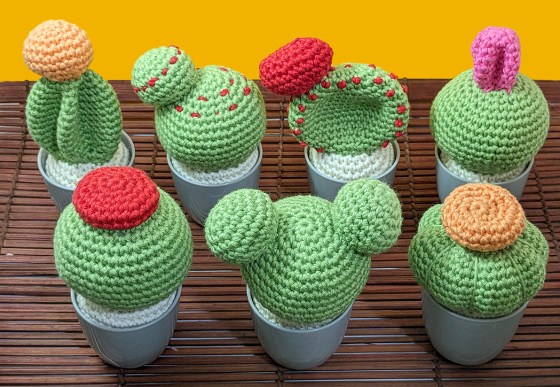 amigurumi de cactos e suculentas