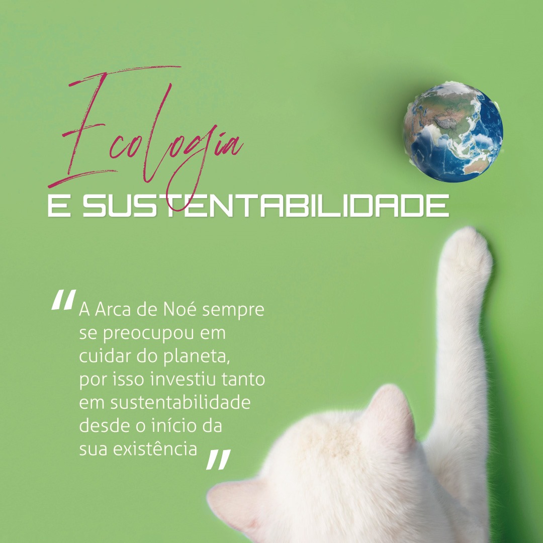 Gatos Domésticos e a Fauna Silvestre: Entenda o Impacto e Como Proteger
