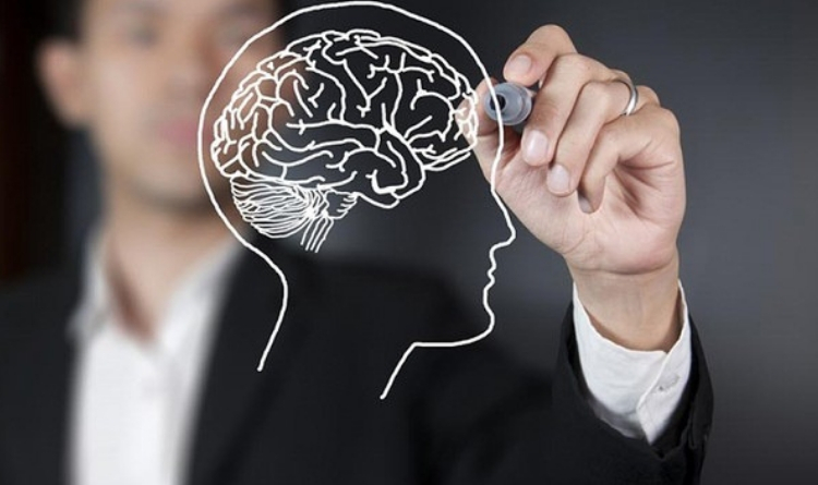 plataformas gratuitas para adquirir conhecimento