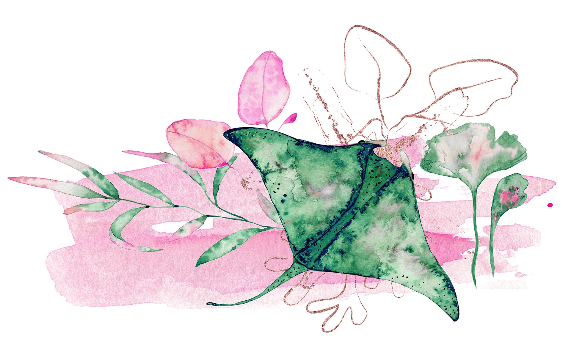 aquarela para iniciantes