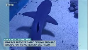 aquario de tubarao em casa