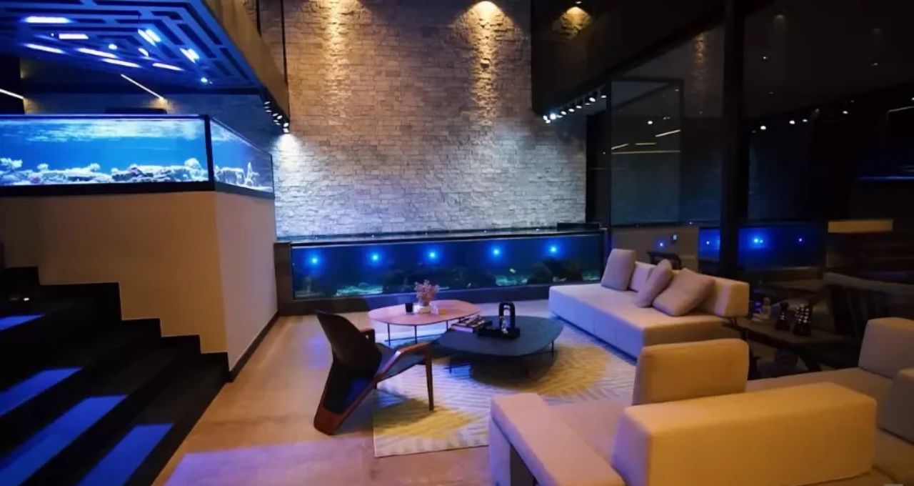 aquario de tubarao em casa