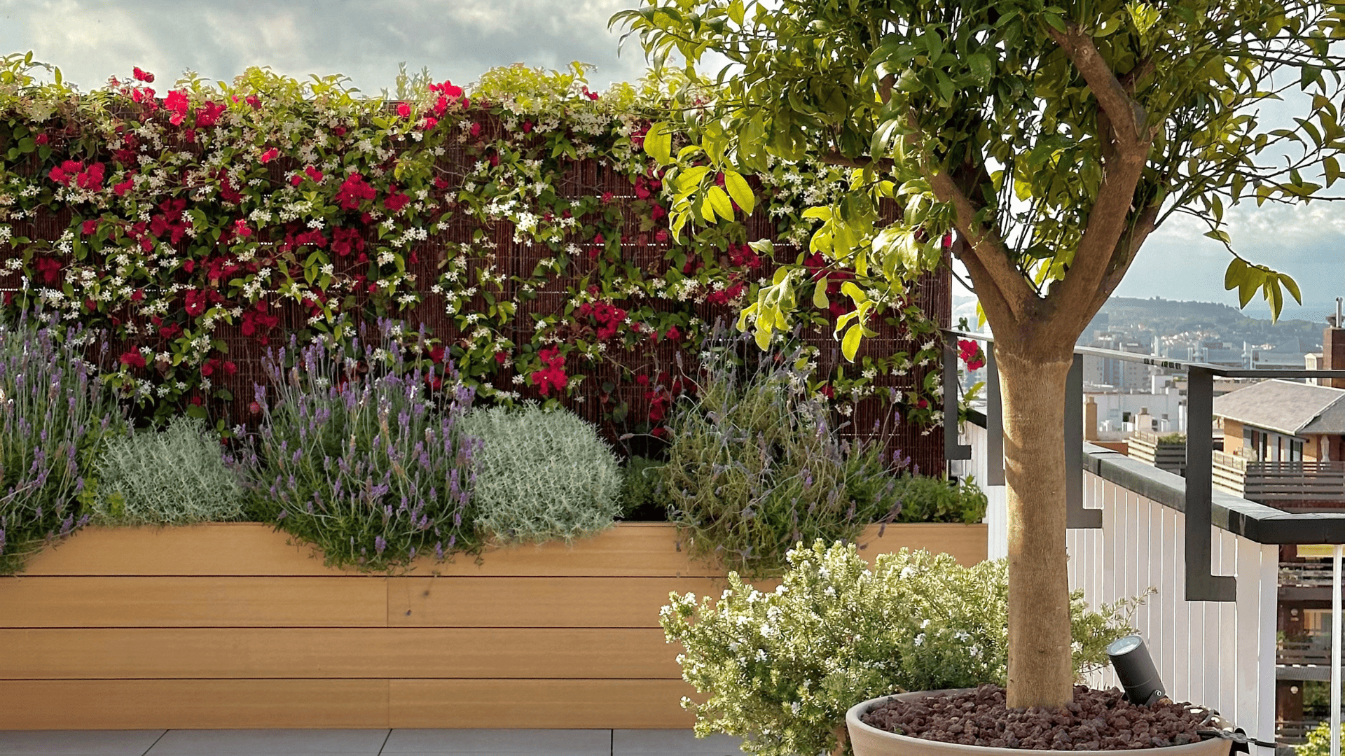 arbustos com flores para jardim