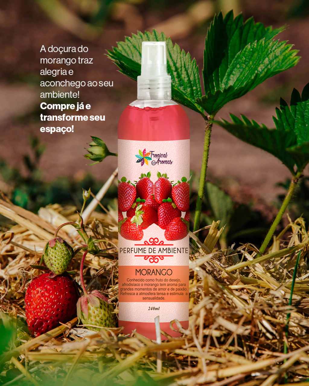 aromas para o ambiente