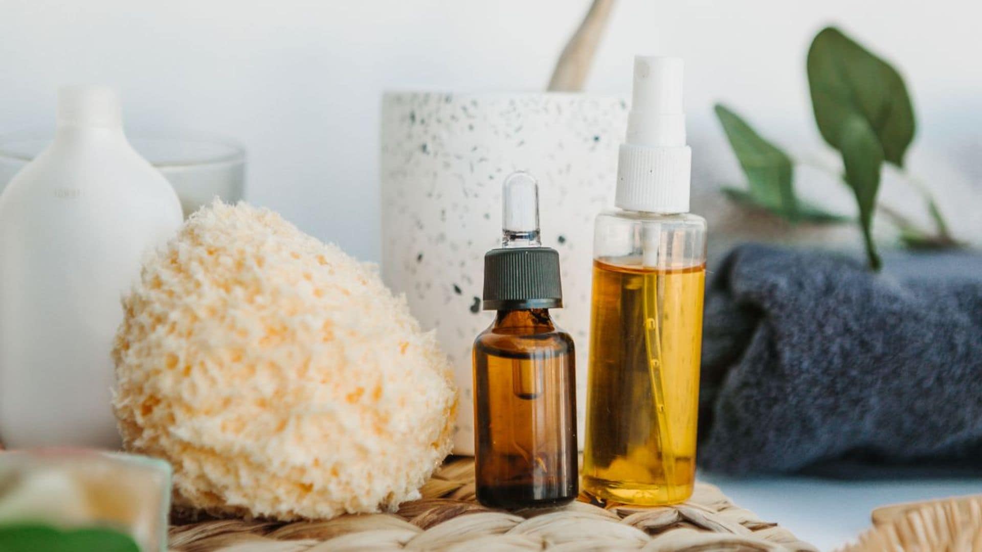 O Segredo do 'Cheiro de Rico': Fragrâncias que Elevam o Ambiente