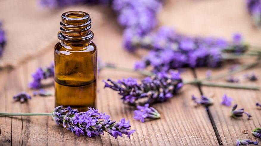 aromaterapia para ambiente