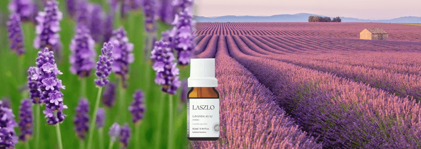 melhores marcas óleo essencial lavanda